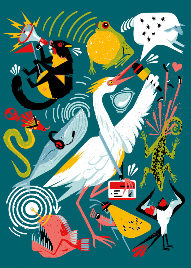 LA NO GUIA DE FAUNA PORTADA